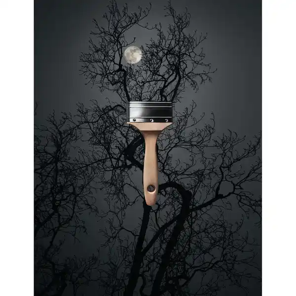 Bild 2 von SCHÖNER WOHNEN FARBE Dispersionsfarbe »Trendfarbe«, Luna, matt