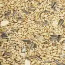 Bild 2 von Gartenkrone Vogelfutter »Streufutter«, 2,5 kg