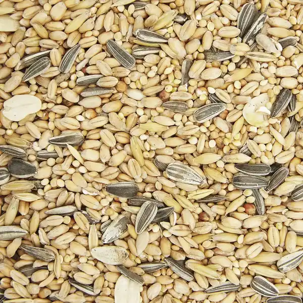 Bild 2 von Gartenkrone Vogelfutter »Streufutter«, 2,5 kg