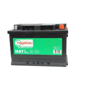 hagebau Starterbatterie, SLI 77AH/780, 12V