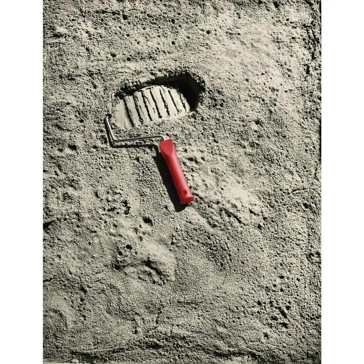 Bild 2 von SCHÖNER WOHNEN FARBE Dispersionsfarbe »Trendfarbe«, Moon, matt