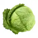 Bild 1 von Wirsingkohl