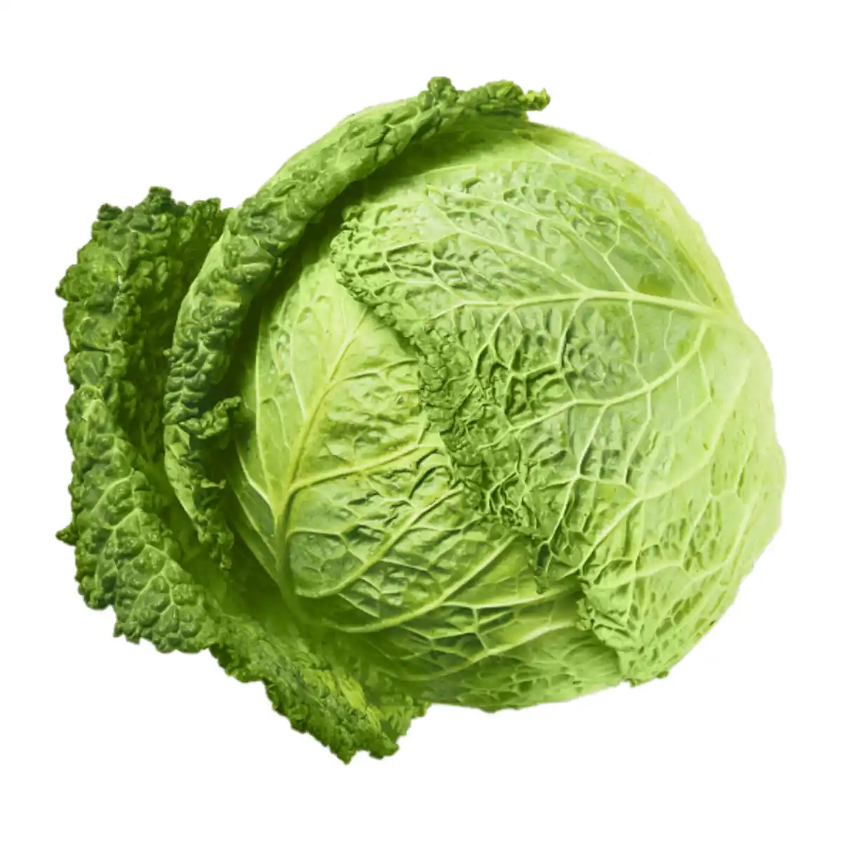 Bild 1 von Wirsingkohl