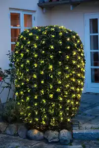 Lichternetz 2,5x2,5m 240LEDs ww Timer IP44 NT