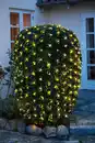 Bild 1 von Lichternetz 2,5x2,5m 240LEDs ww Timer IP44 NT