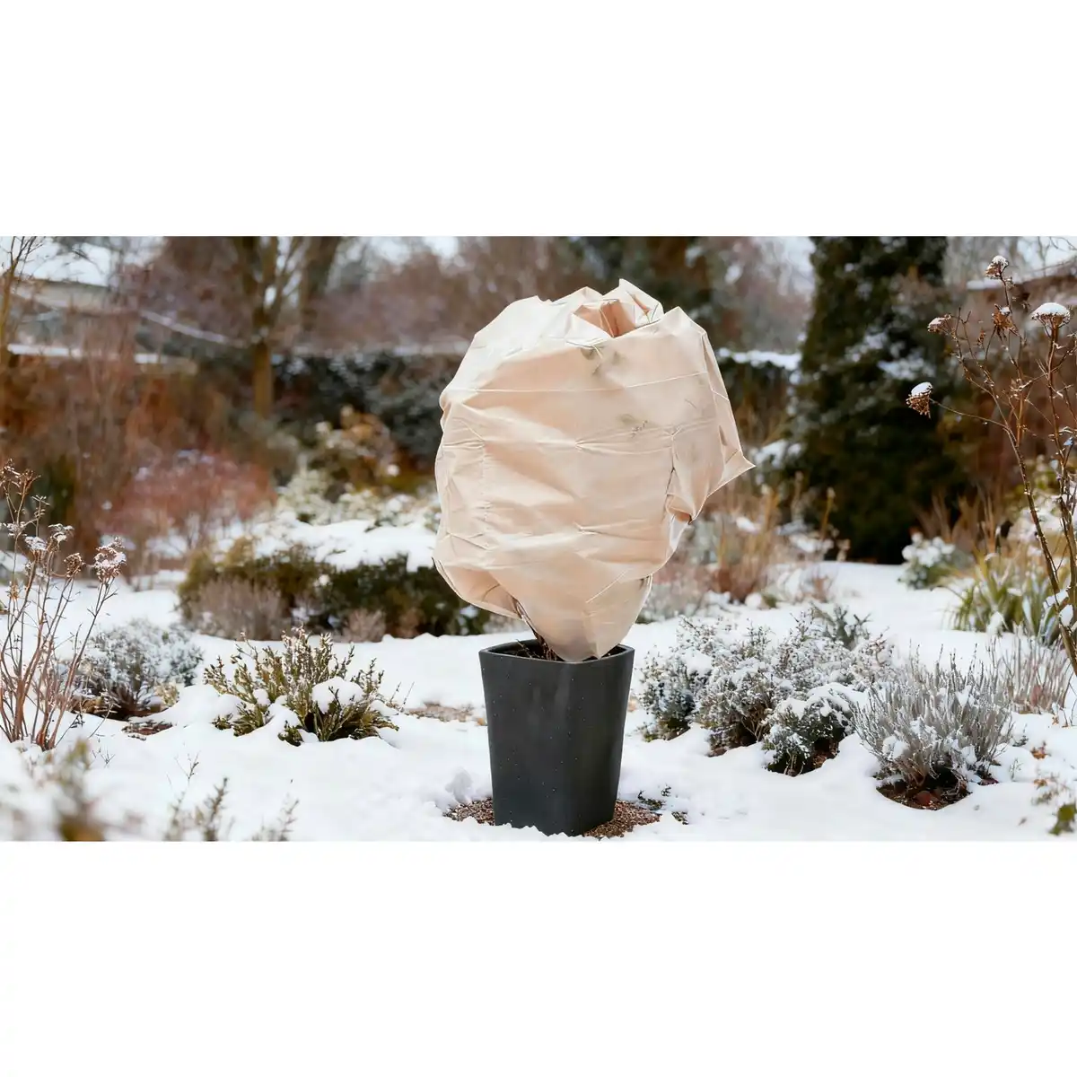 Bild 3 von Wintervlies, LxB: 5 x 1,5 m, 25 g/m ², beige