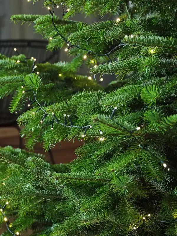 Bild 2 von Lichterkette Outdoor SNOTRA L745cm m/150 LED und Timer