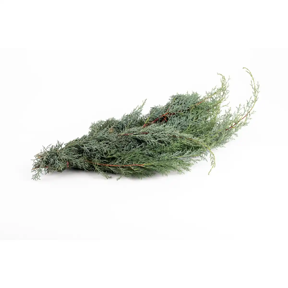 Bild 1 von Schnittgrün »Arizona Handbund«, 900 g, grün