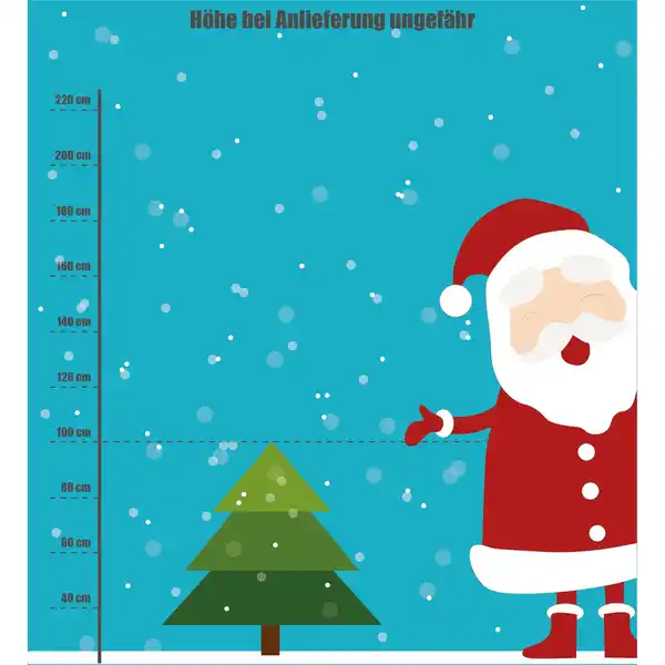 Bild 3 von Blaufichte Picea pungens »Glauca«, im Topf, Höhe: 60 - 100 cm