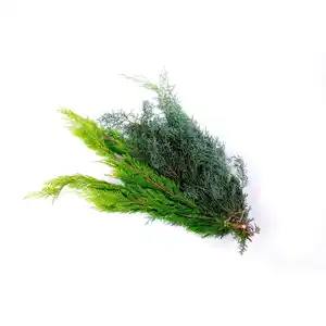 Koniferenzweige »Mix-Koniferen Handbunde«, 900 bis 1000 g