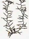 Bild 4 von Lichterkette Outdoor KORNSTEN m/1000 LEDs und Timer