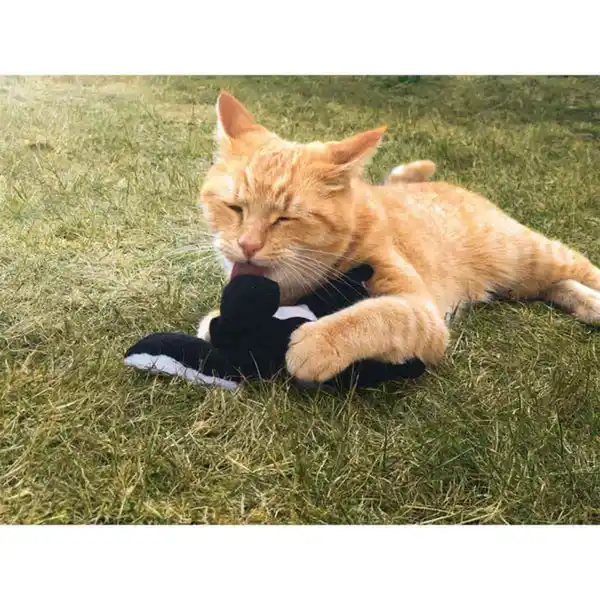 Bild 3 von Aumüller Stinktier Sam Katzenspielkissen mit Baldrianwurzel und Dinkelspelz