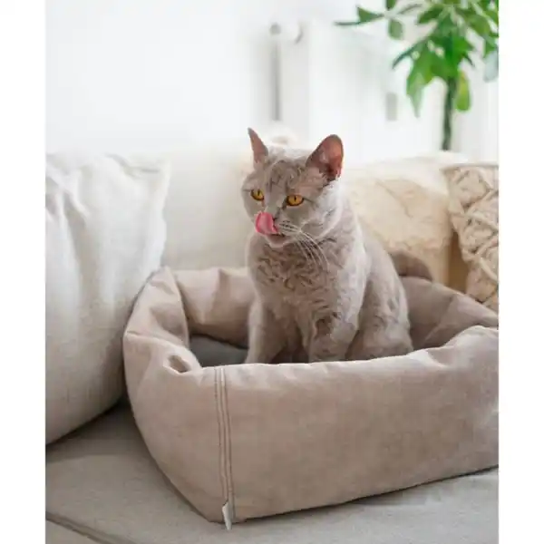 Bild 2 von Stylecats Bett Dreamie 40x40cm beige