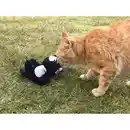 Bild 4 von Aumüller Stinktier Sam Katzenspielkissen mit Baldrianwurzel und Dinkelspelz