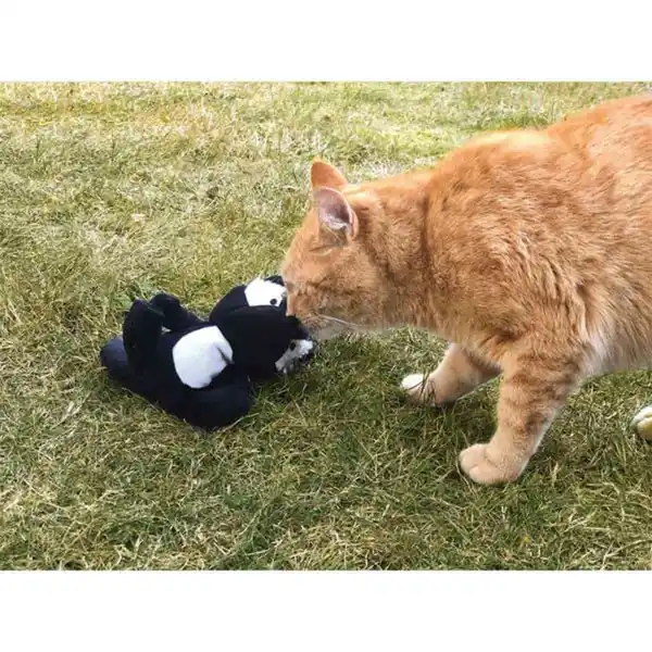 Bild 4 von Aumüller Stinktier Sam Katzenspielkissen mit Baldrianwurzel und Dinkelspelz