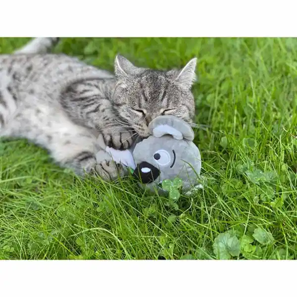 Bild 3 von Aumüller Katzenspielzeug Koalabär Jack