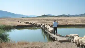 Rundreisen Albanien: Zwischen Bergen, Meeresrauschen und Momenten fürs Herz