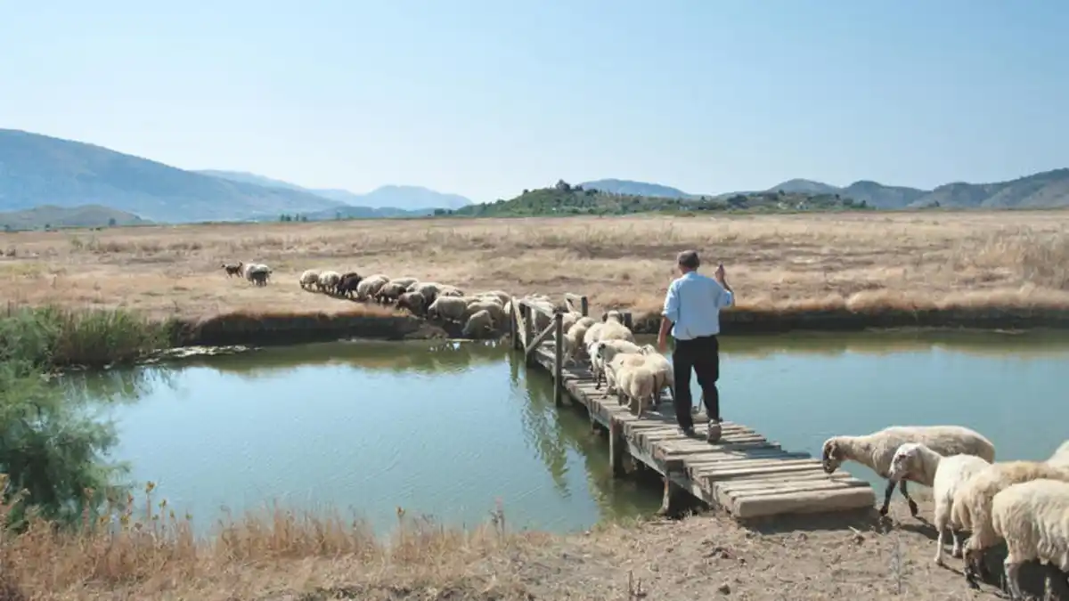 Bild 1 von Rundreisen Albanien: Zwischen Bergen, Meeresrauschen und Momenten fürs Herz