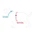 Bild 2 von Hunter Geschirr Divo Up schwarz 56-73/M