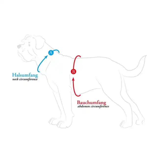 Bild 2 von Hunter Geschirr Divo Up schwarz 56-73/M