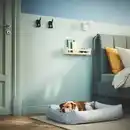 Bild 3 von UTSÅDD Hundebett, hellgrau, M