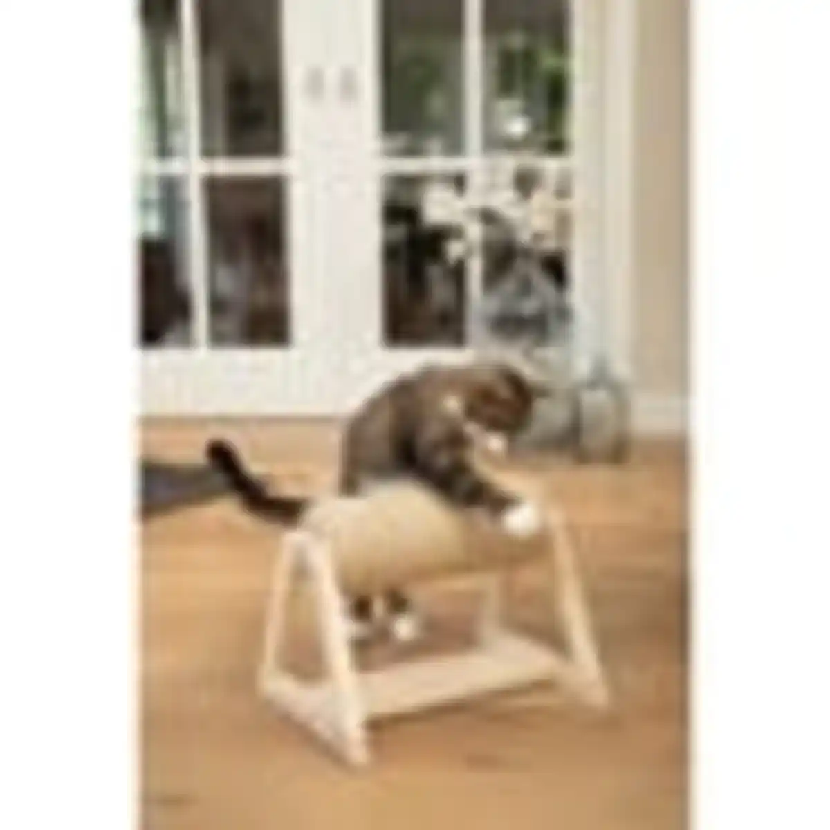 Bild 4 von Designed by Lotte Kratzsäule Yves mit Fuß