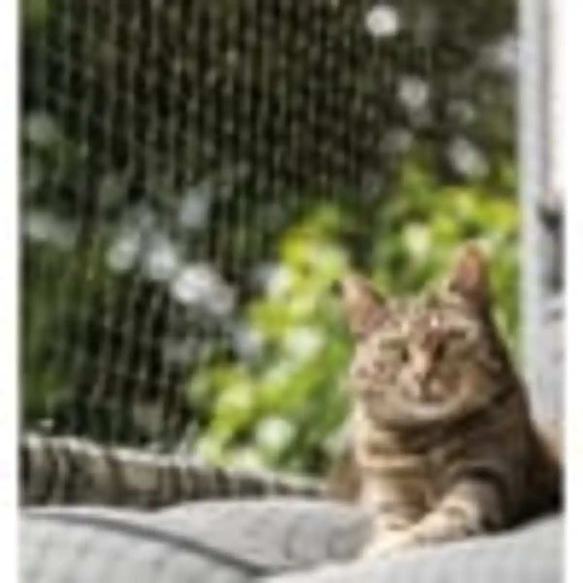 Bild 4 von Trixie Schutznetz drahtverstärkt olivgrün 8×3 m