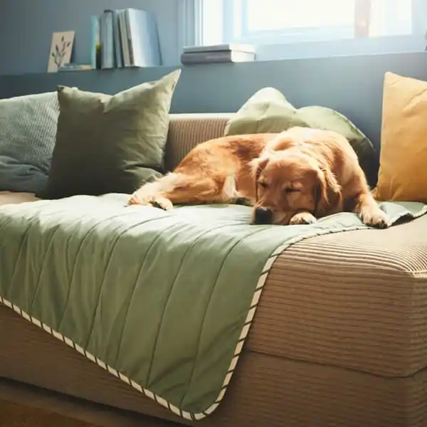 Bild 3 von UTSÅDD Decke für Haustier, grün, 100x150 cm