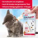 Bild 3 von beaphar Lactol Aufzucht Set