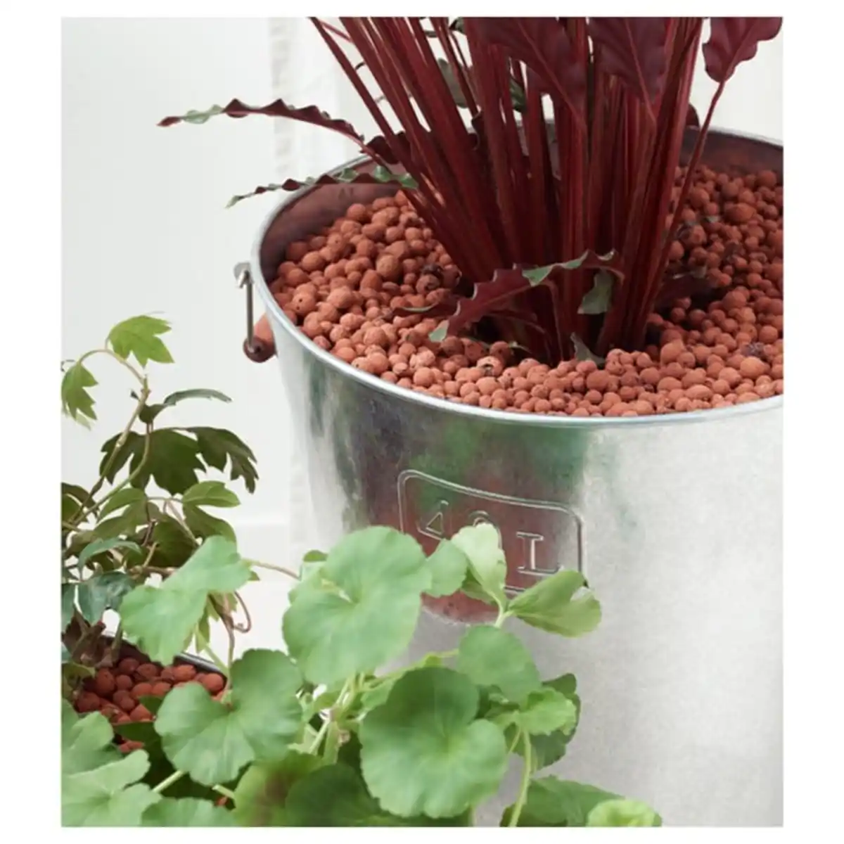 Bild 3 von ODLA Anzuchtmedium, Tongranulat, 5 l