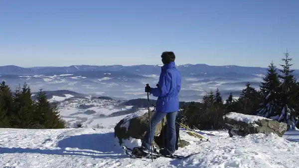Bild 1 von Bayerischer Wald - Viechtach - Hotel am Pfahl