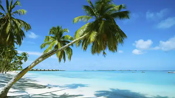 Bild 1 von Costa Favolosa - Transatlantik von Hamburg in die Karibik