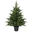 Bild 1 von VINTERFINT Topfpflanze, künstlich, drinnen/draußen/Weihnachtsbaum grün, 15 cm