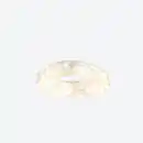 Bild 2 von LED-Lichterschlauch mit 100 Micro-LEDs, ca. 4,95 m