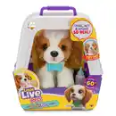 Bild 1 von Little Live Pets - My Really Real Puppy - Patches