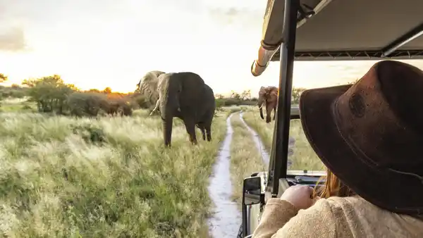 Bild 1 von Südafrika - Rundreise