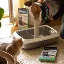 Bild 4 von Biokat's Eco Bags XXL 12 Stück