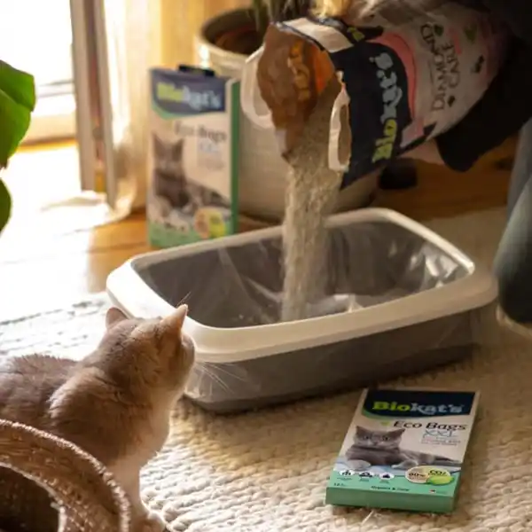 Bild 4 von Biokat's Eco Bags XXL 12 Stück