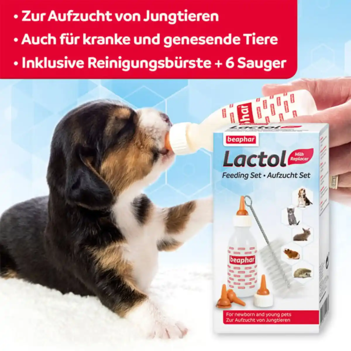 Bild 2 von beaphar Lactol Aufzucht Set