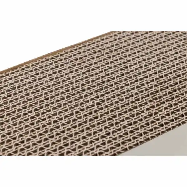 Bild 3 von Beeztees Karton Kratzbrett Igel