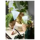 Bild 4 von SVÄMSKOG Selbstbewässerungseinsatz, Terrakotta/transparent, 25 cl