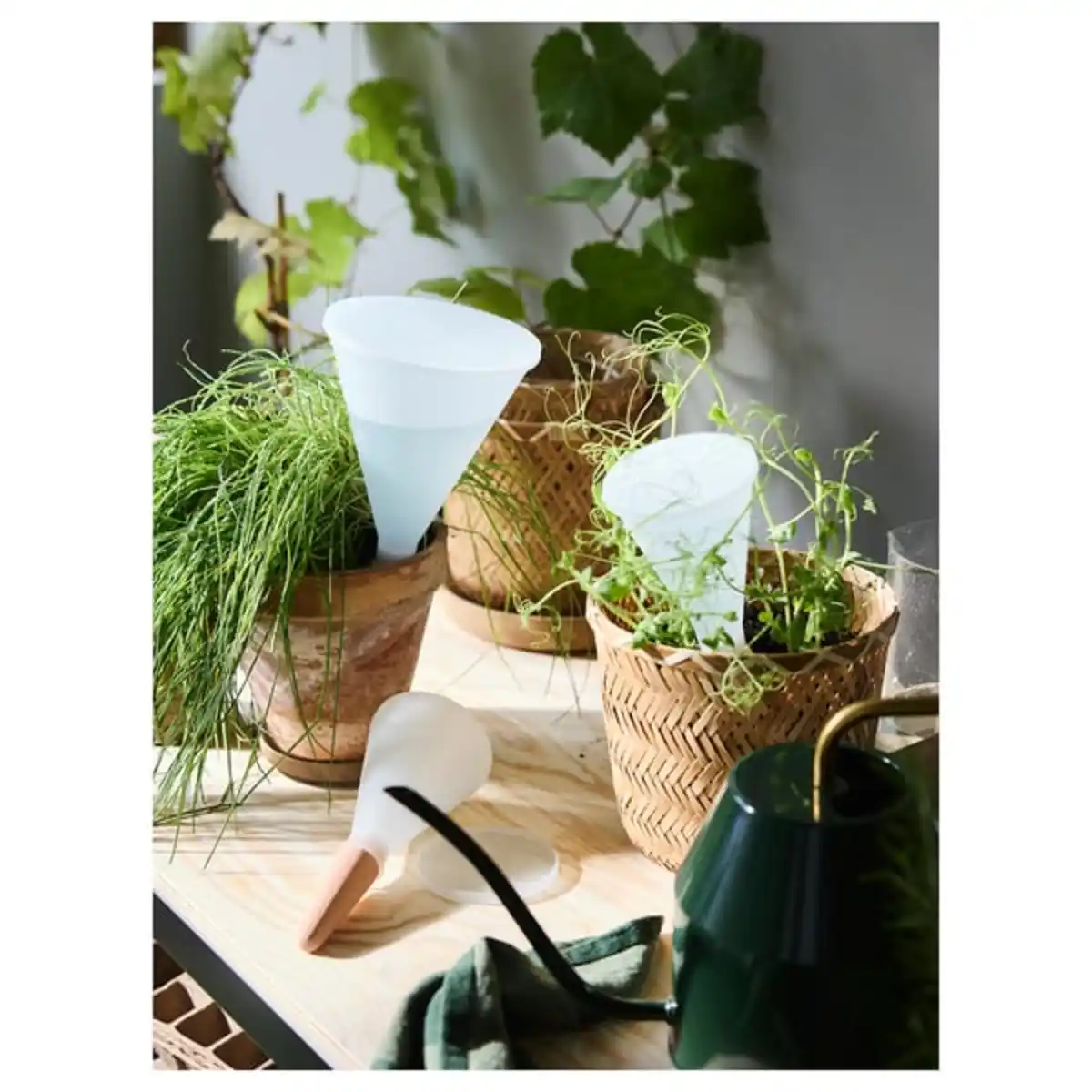 Bild 4 von SVÄMSKOG Selbstbewässerungseinsatz, Terrakotta/transparent, 25 cl