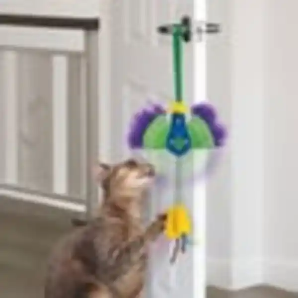 Bild 4 von KONG Connects Peacock mit Katzenminze