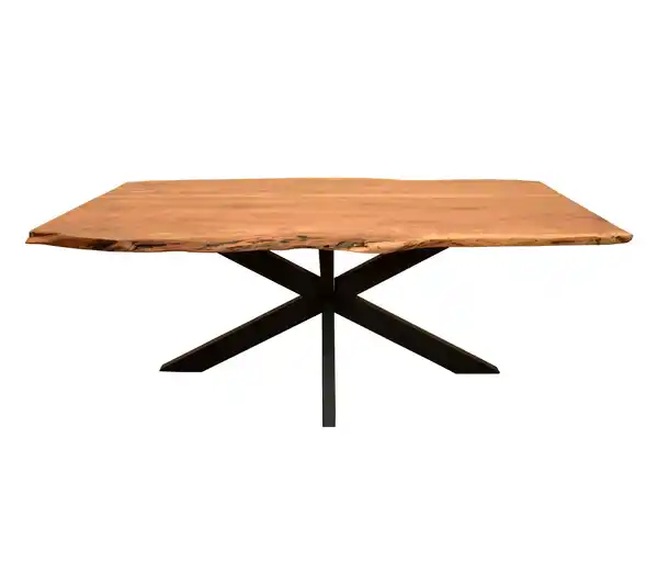 Bild 1 von deVries Esstisch »Catania«, Cross-Gestell, ca. 200 x 100 cm