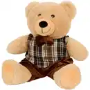 Bild 1 von Teddybär