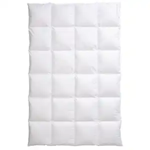 Centa-Star Winterdecke Ambiente, Weiß, Textil, Füllung: Daunen, 200x220 cm, Oeko-Tex® Standard 100, weich und anschmiegsam, pflegeleicht, Schlaftextilien, Bettdecken, Winterdecken