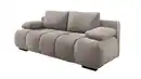 Bild 1 von Schlafsofa grau-beige mit Bettkasten 213 cm - RENO