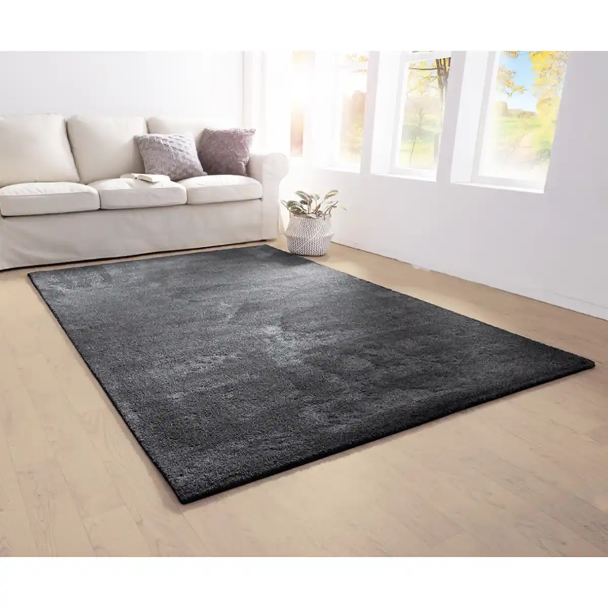 Bild 1 von AW Rugs XL-Teppich "Dreamline"