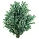 Bild 2 von Tannengrün-Handbund