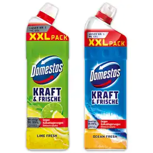 Domestos Kraft & Frische WC Gel